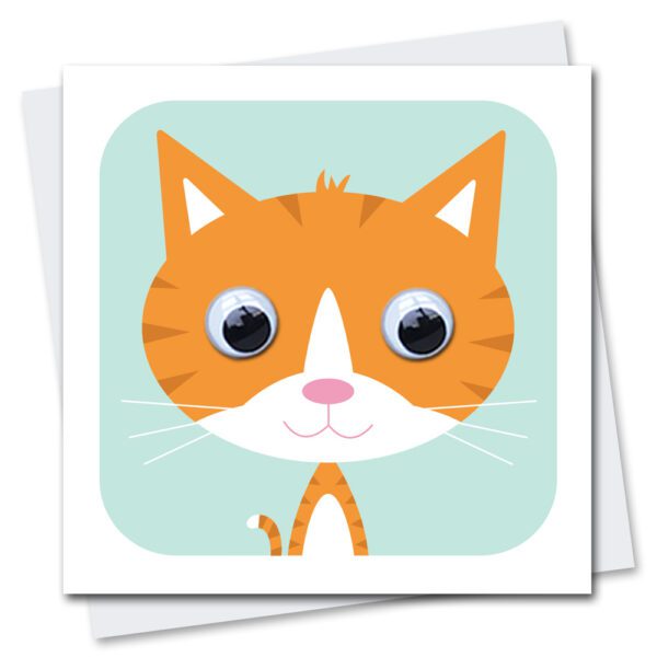 ginger Cat birthday card with googly eyes