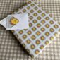 Lion gift wrap with a lion card