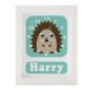 Personalised Children's hedgehog Clock featuring a hedgehog with googly eyes on a green background