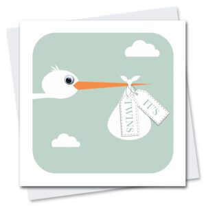 New baby Twins Card featuring a stork with googly eyes