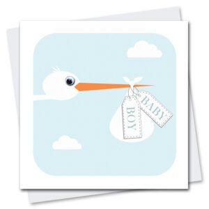 new baby boy card featuring a stork with googly eyes