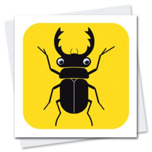 Children's Birthday Card featuring a stag Beetle with googly eyes.
